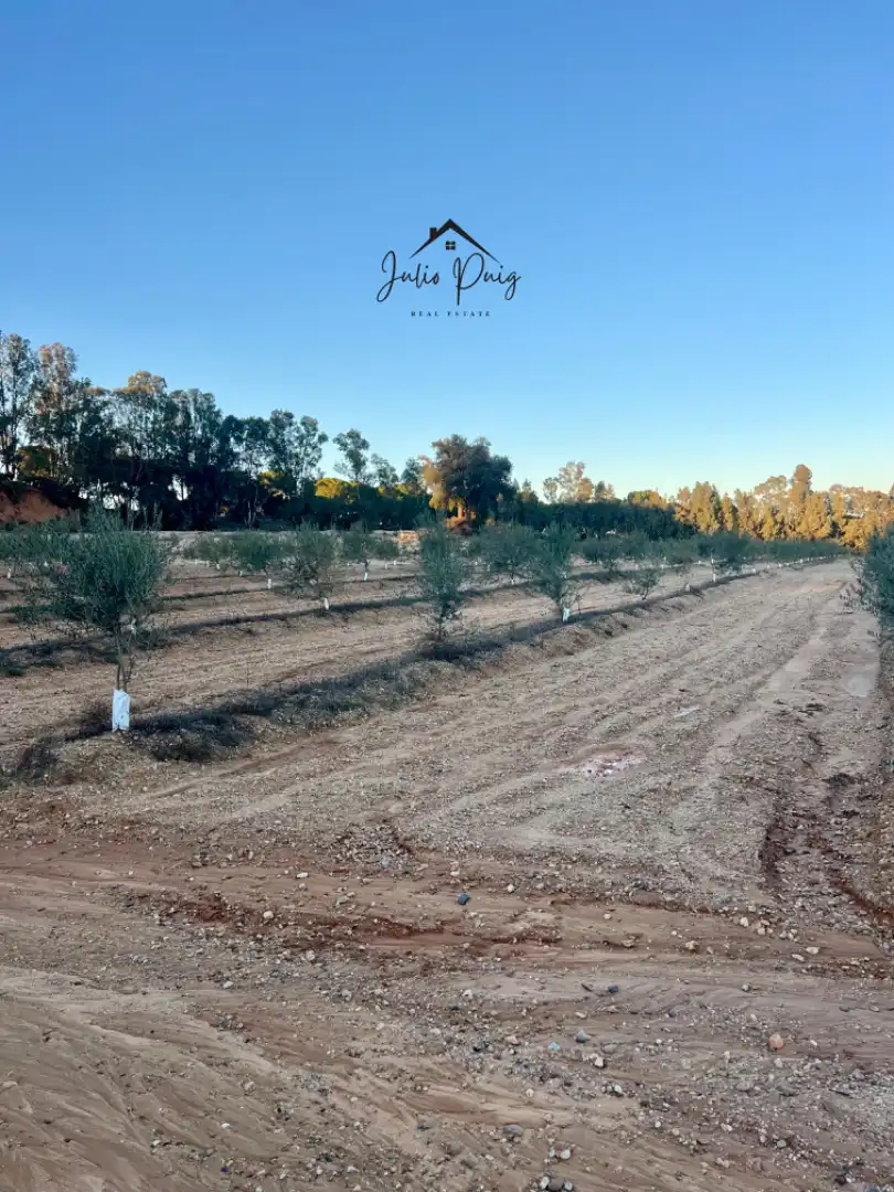Terreni e lotti in vendita a La Puebla del Río, imagen 3