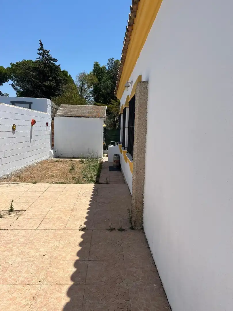 Exterior view of Houses for sale in Chiclana de la Frontera