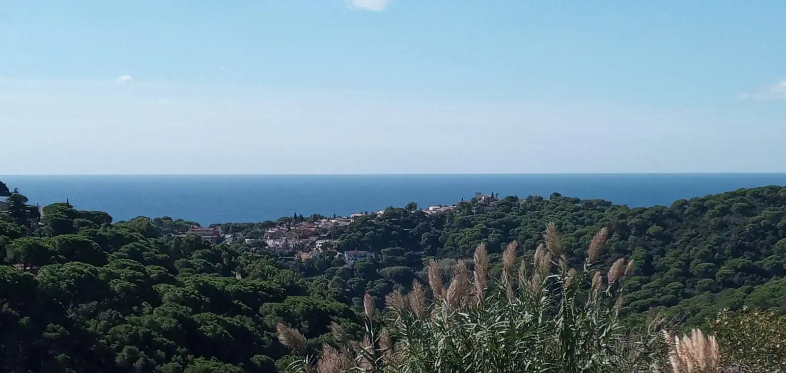 Terrenos y solares en venta en Serra Brava