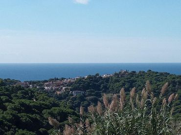 Terreni e lotti in vendita a Serra Brava