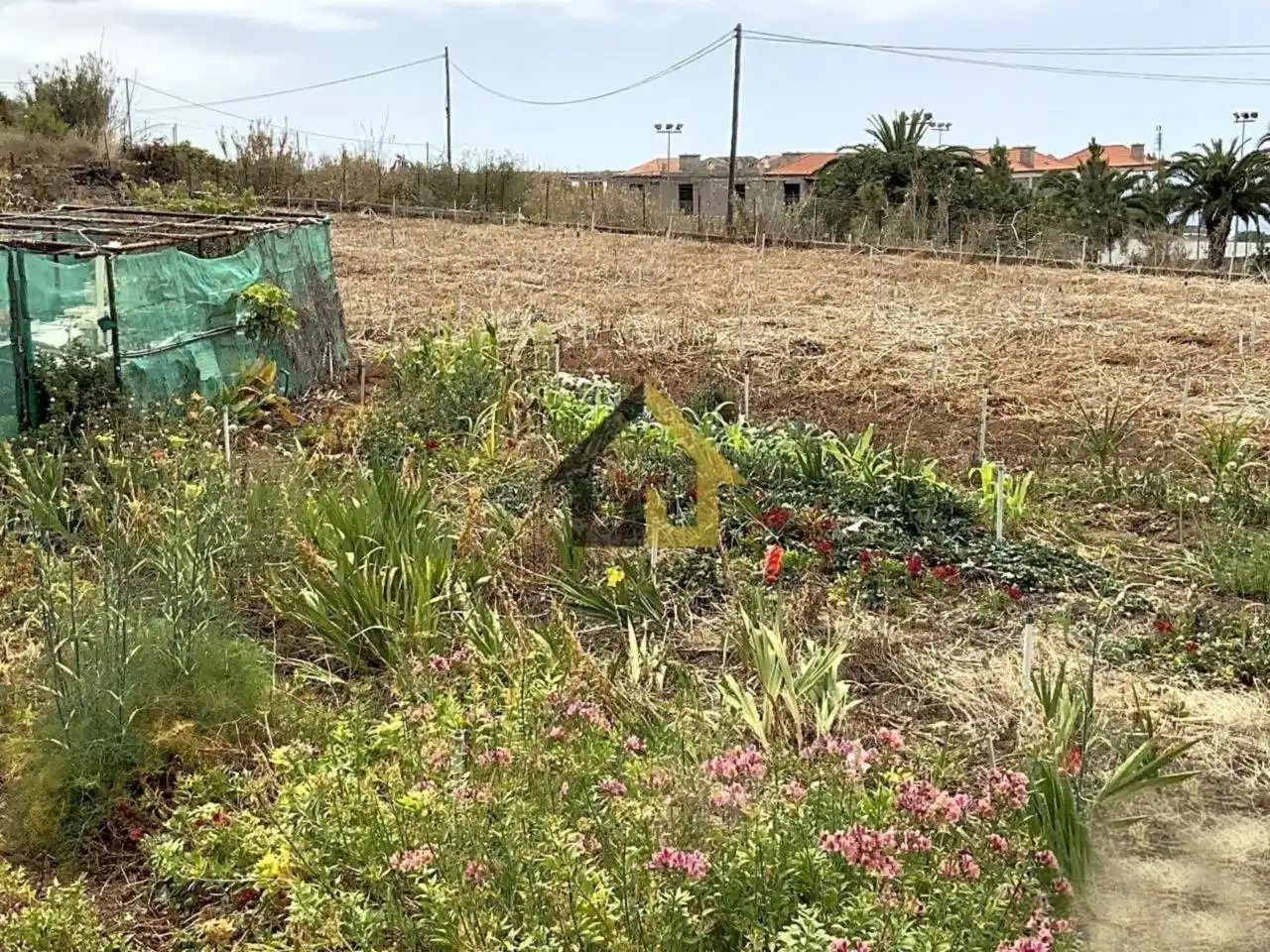 Rural land for sale in Camino La Palma 20