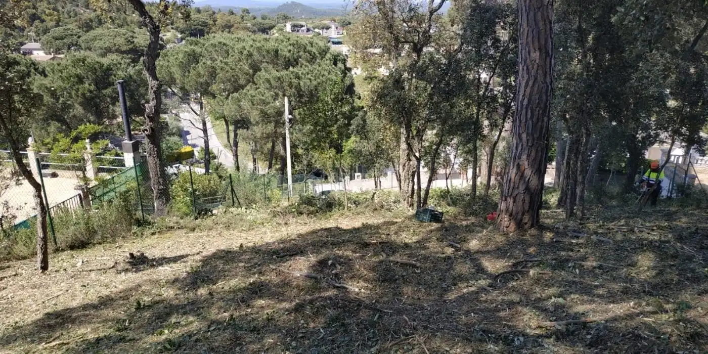 Wohnbaugrundstück zum Verkauf in Carrer Finestrelles 46, imagen 6