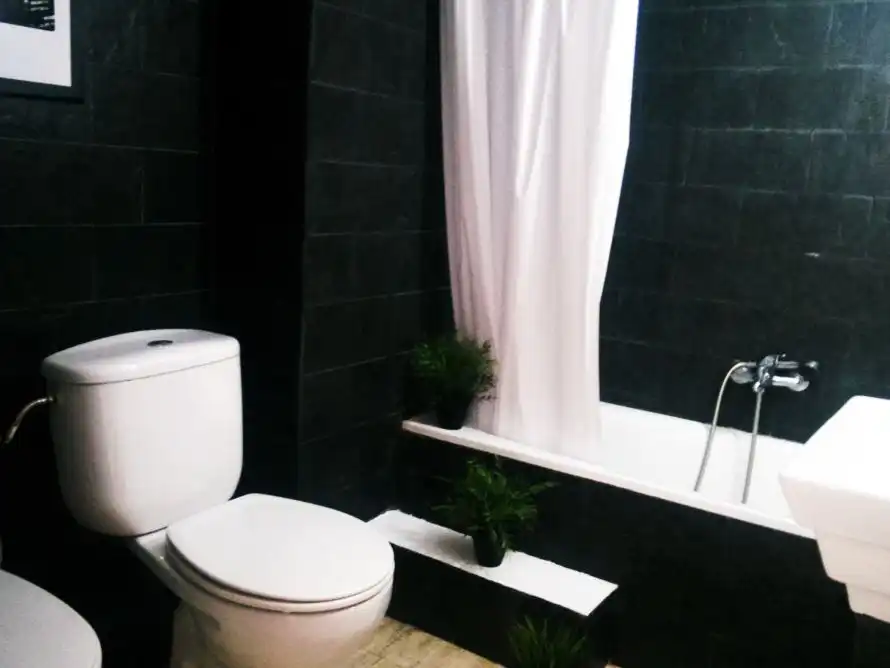 Penthouse mit Aufzug zur Miete in plaza honduras 7 46022, imagen 3