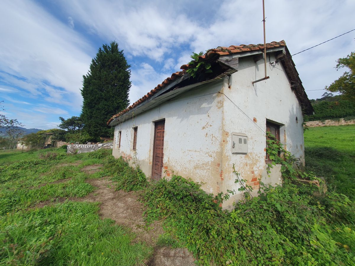 Exterior view of House or chalet for sale in Candamo