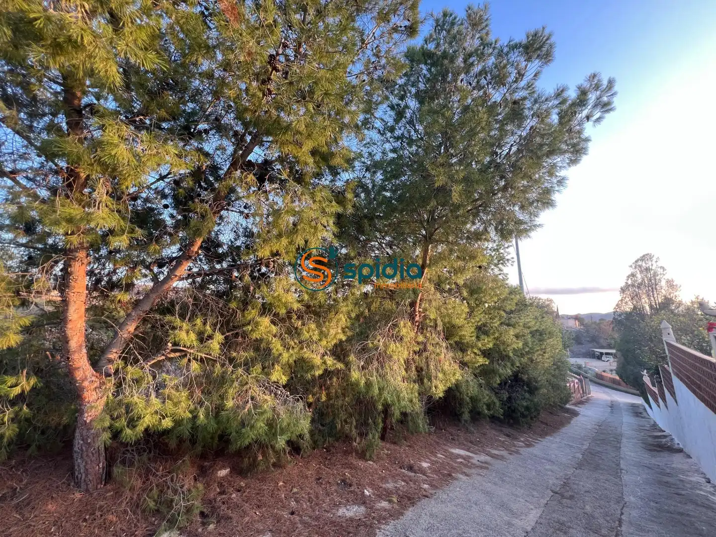 Terreny residencial en venda a Tébar - Los Arejos, imagen 6