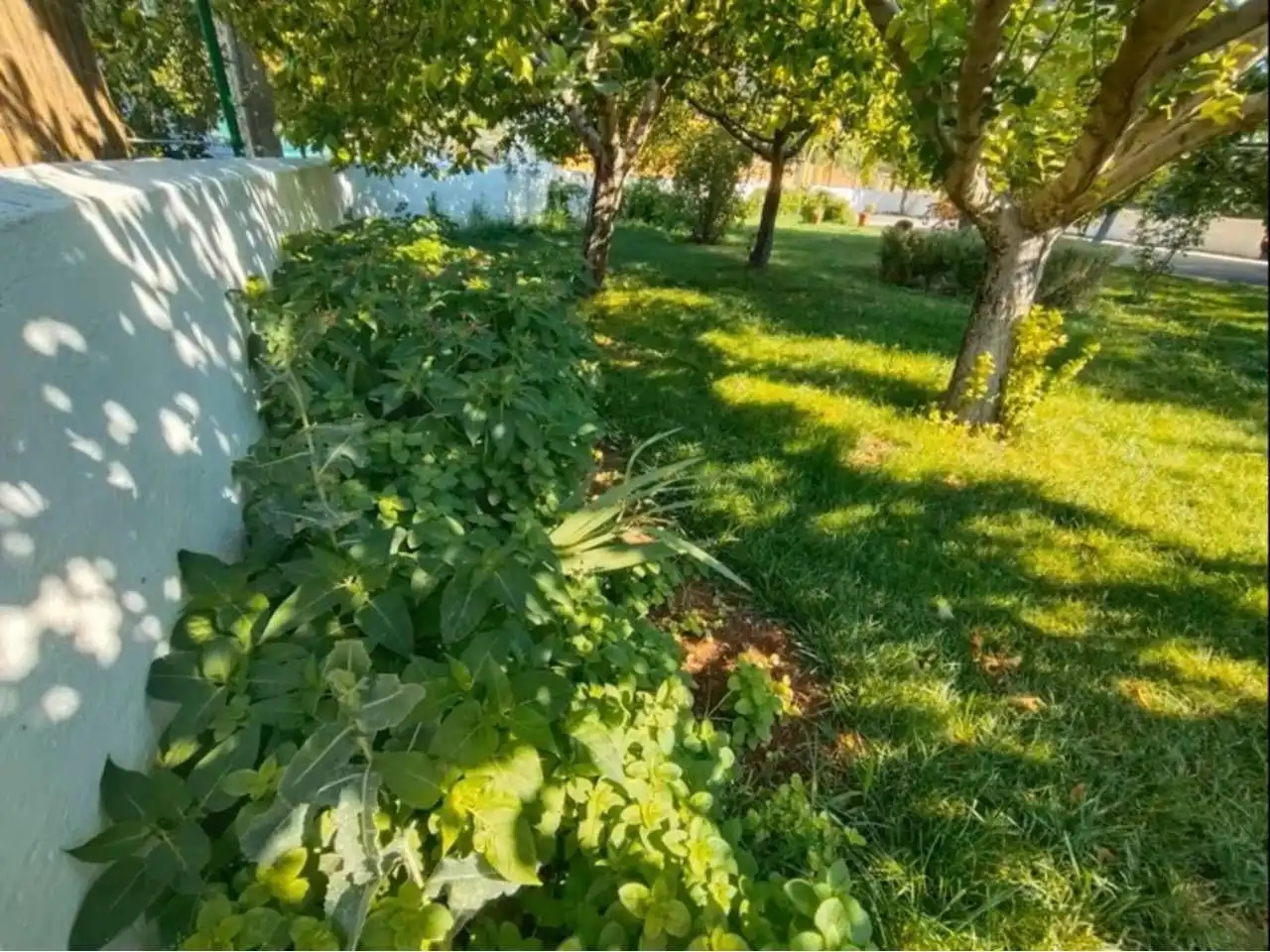 Jardín de Casa o chalet en venta en Morata de Tajuña con Aire acondicionado, Calefacción y Piscina