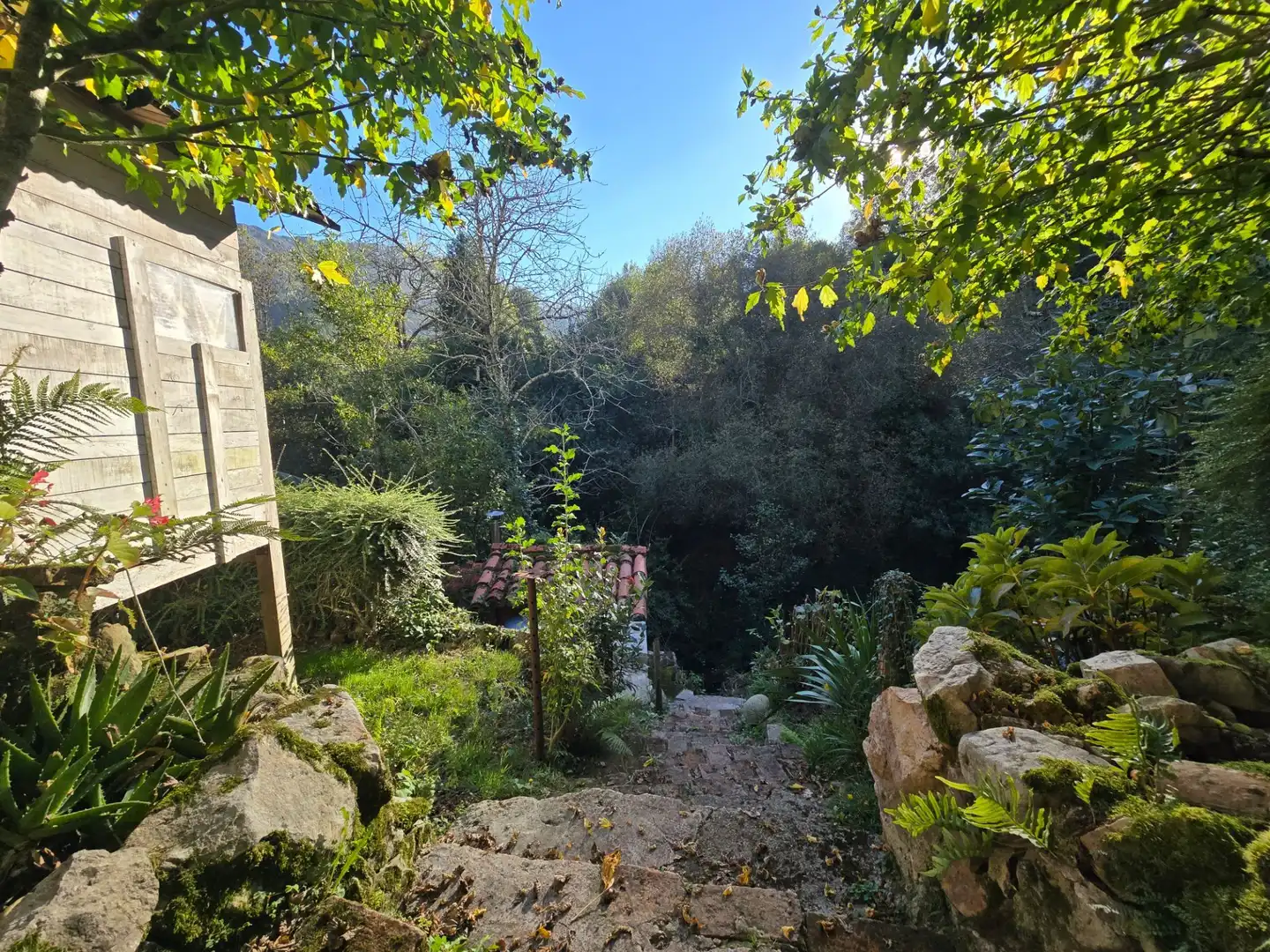 Jardín de Casa o chalet en venta en Ribadesella, Asturias