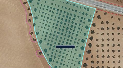 Finca Rúst. en venta en Valdepeñas.