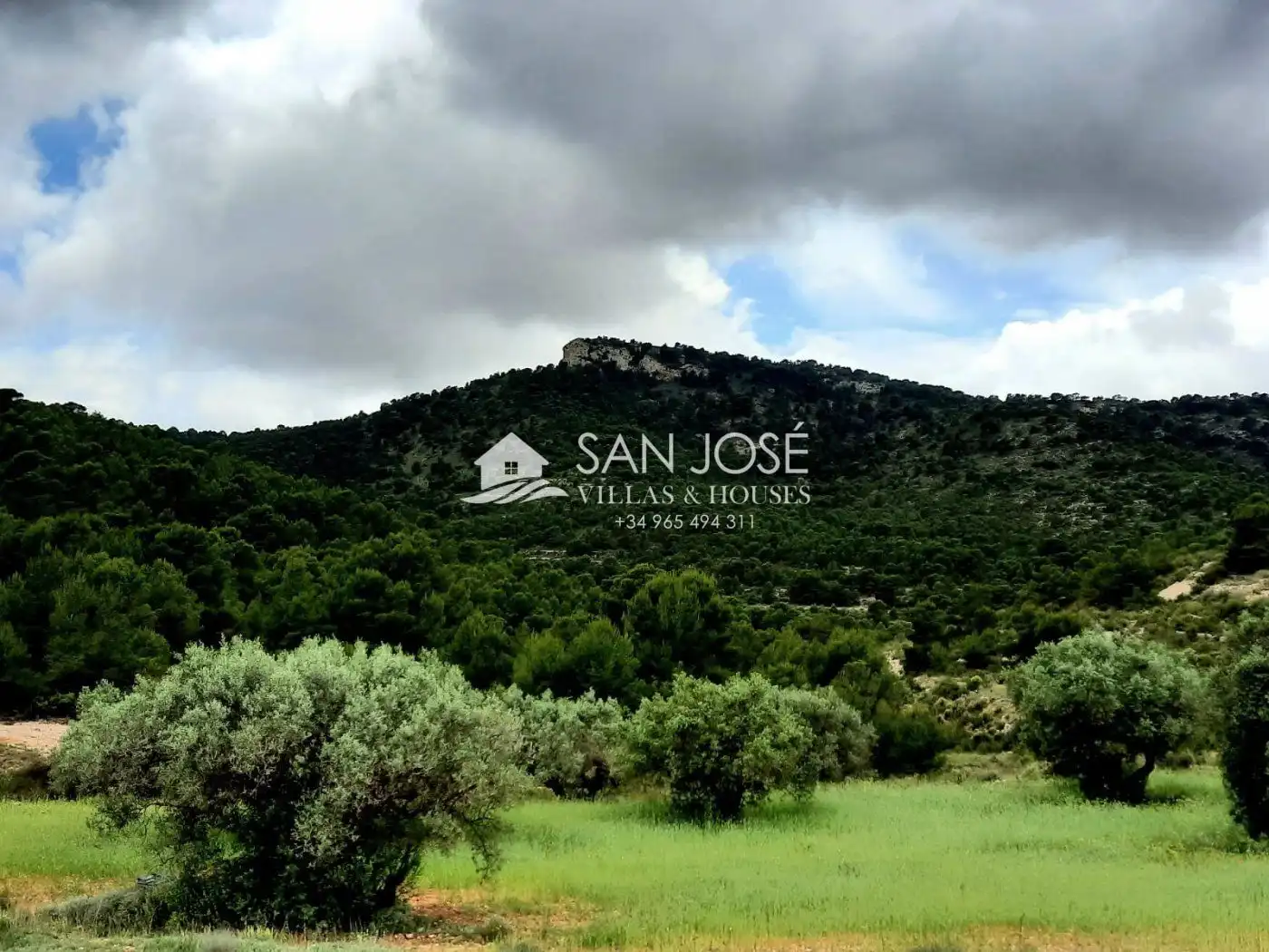 Casa o xalet en venda en Monóvar  / Monòver
