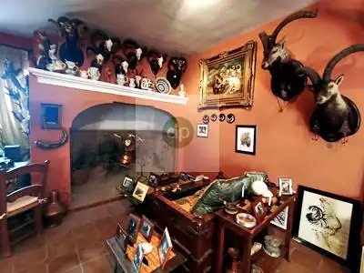 Villa zum Verkauf in Centro, imagen 46