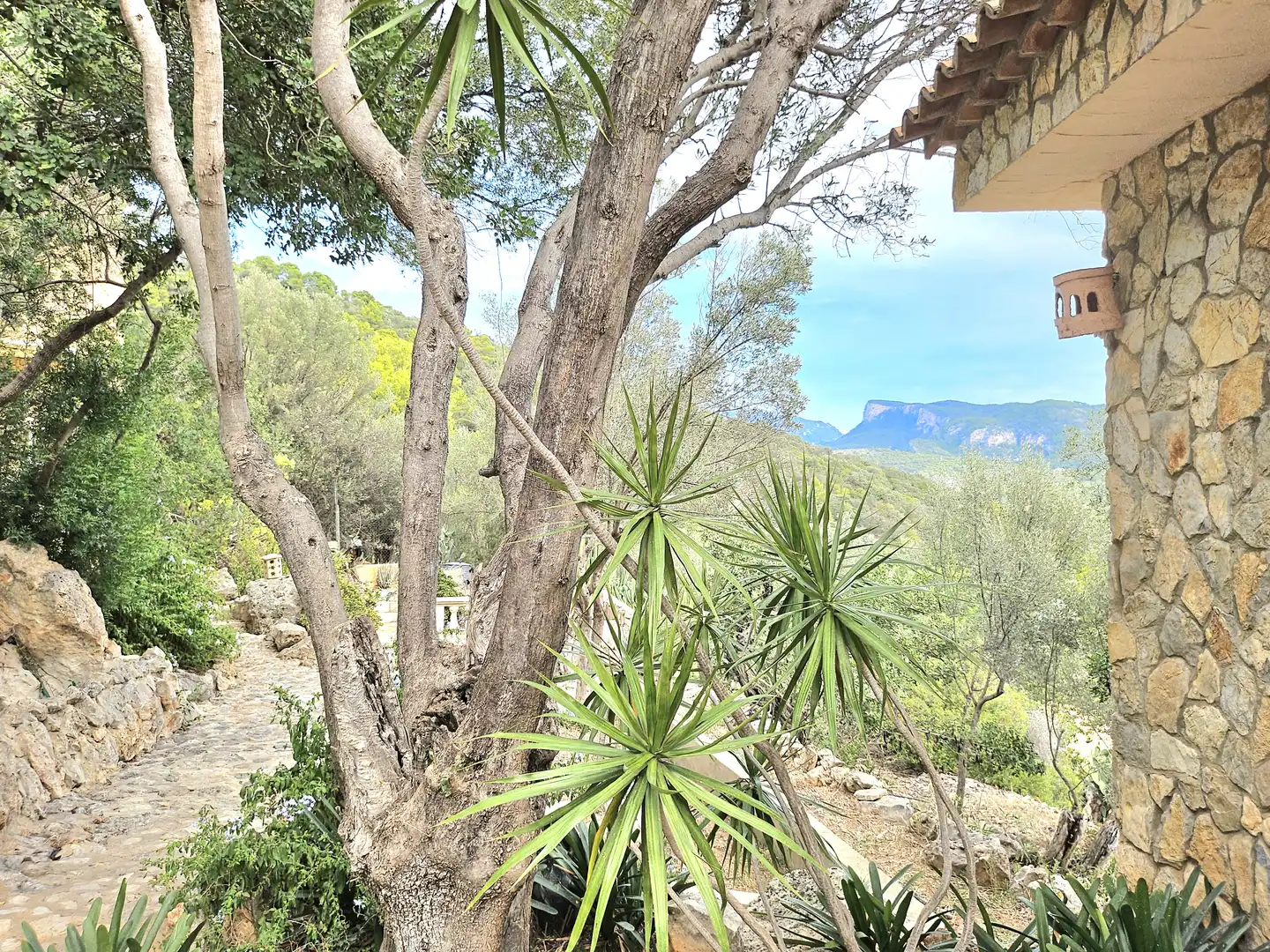 Houses for rent in Avinguda de sa Font Seca, 999, Bunyola