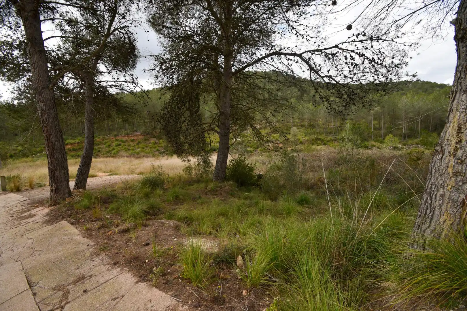 Terreno residencial en venta en Olivella, imagen 11
