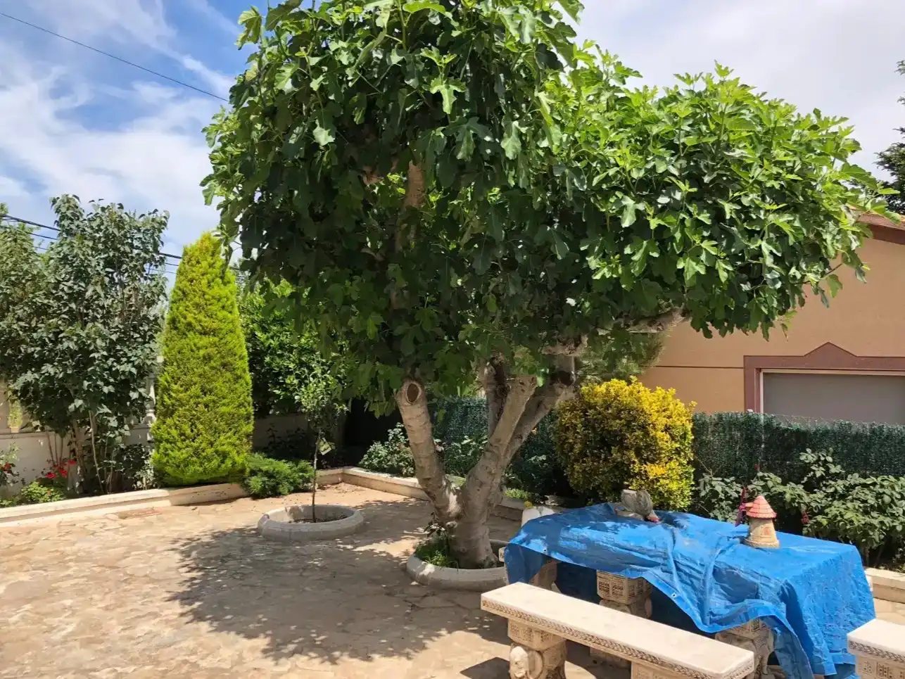 Jardín de Piso en venta en Piera, Barcelona