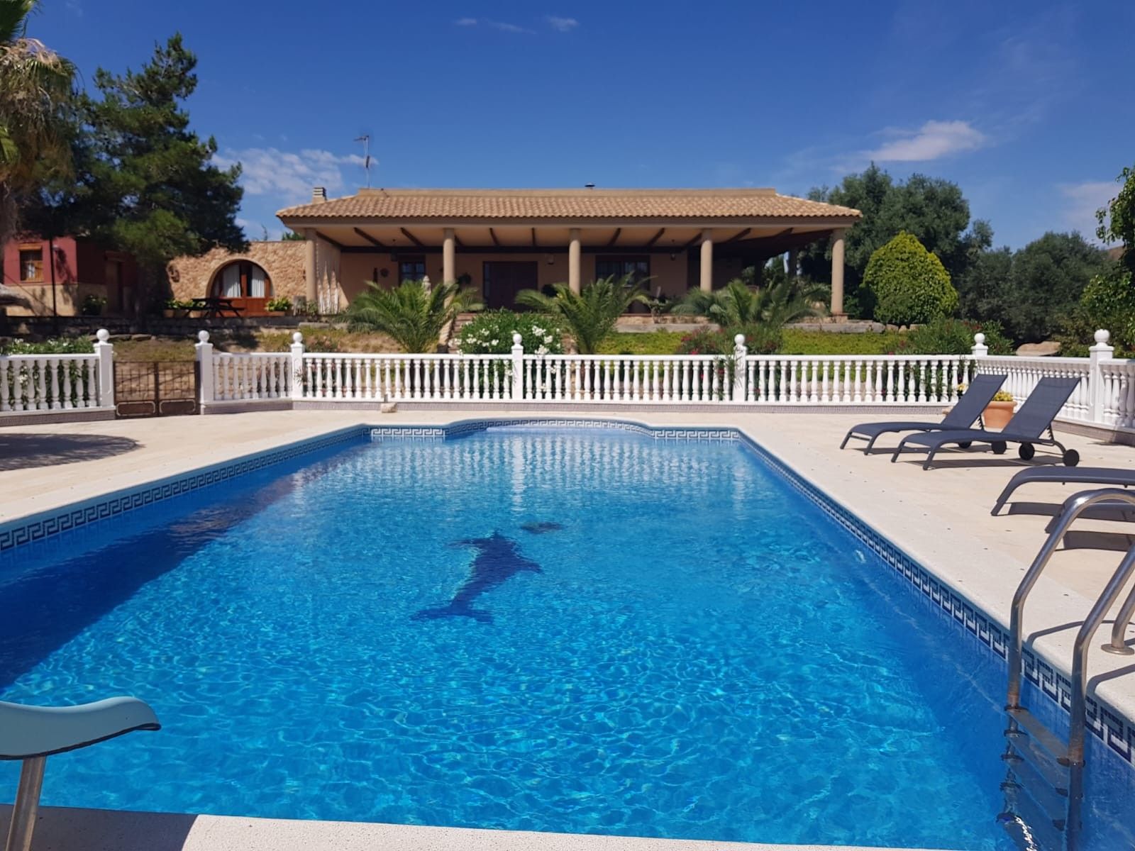 Swimming pool of Country house for sale in  Murcia Capital  with Terrace and Storage room
