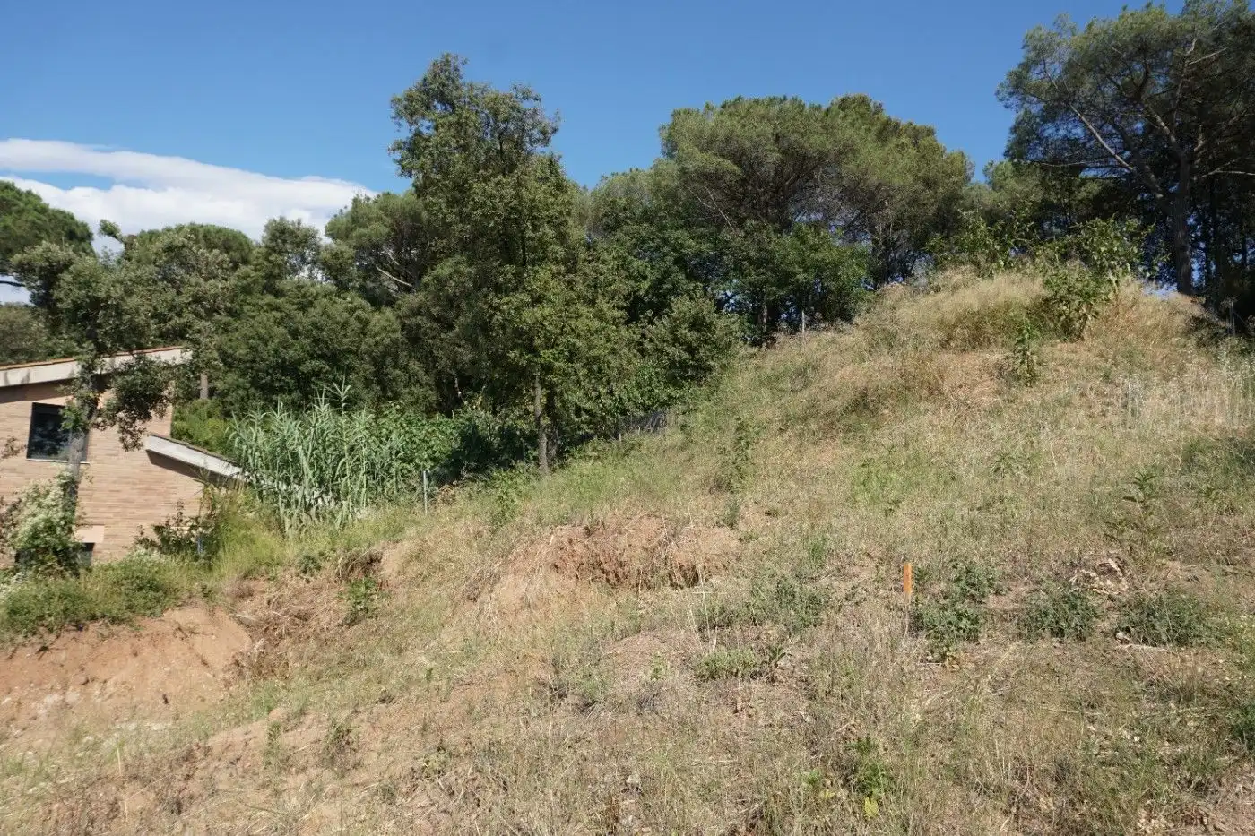 Residential land for sale in Sant Pere de Vilamajor, imagen 13