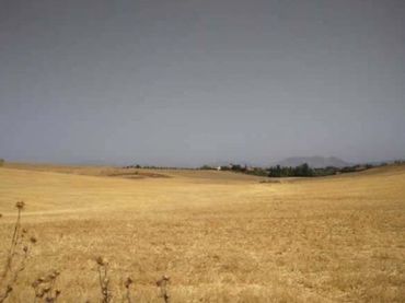 Terreny rústic en venda a C/ San javier