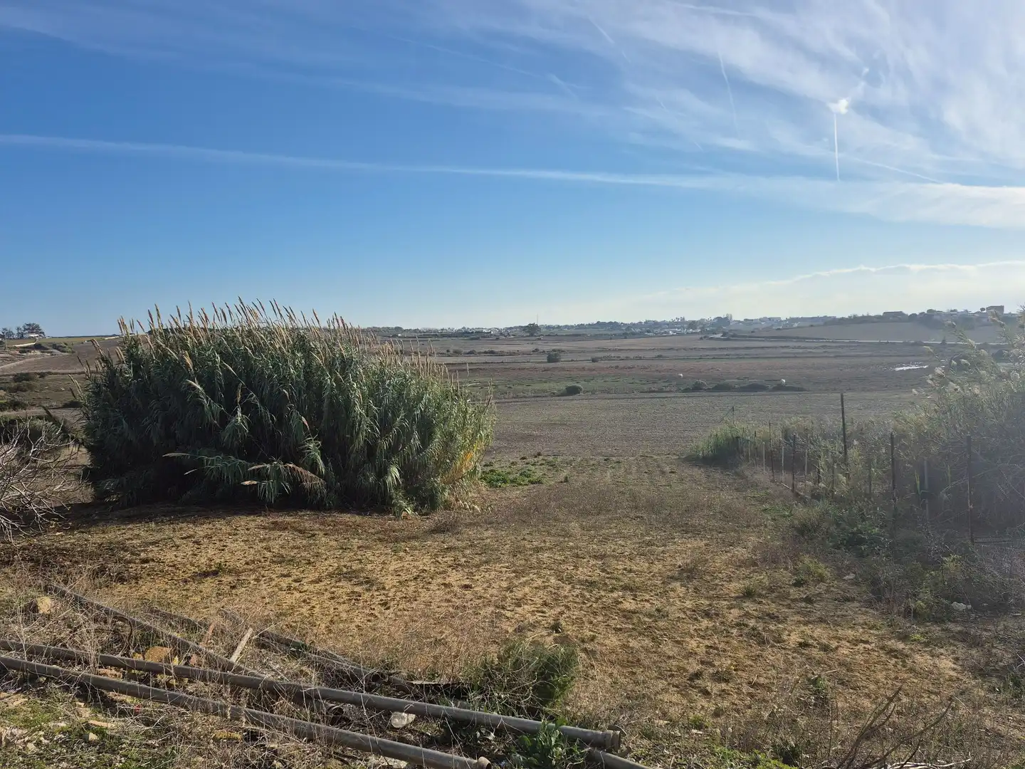 Terreny rústic en venda a Conil