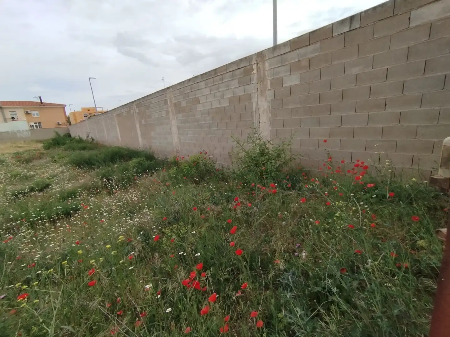 Terreny residencial en venda a Calle la Paz, imagen 11
