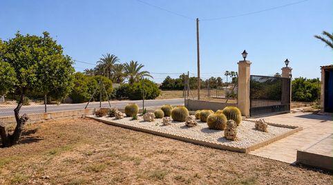 Photo 4 of Houses for sale in La Algoda - Matola - Llano de San José, Elche / Elx