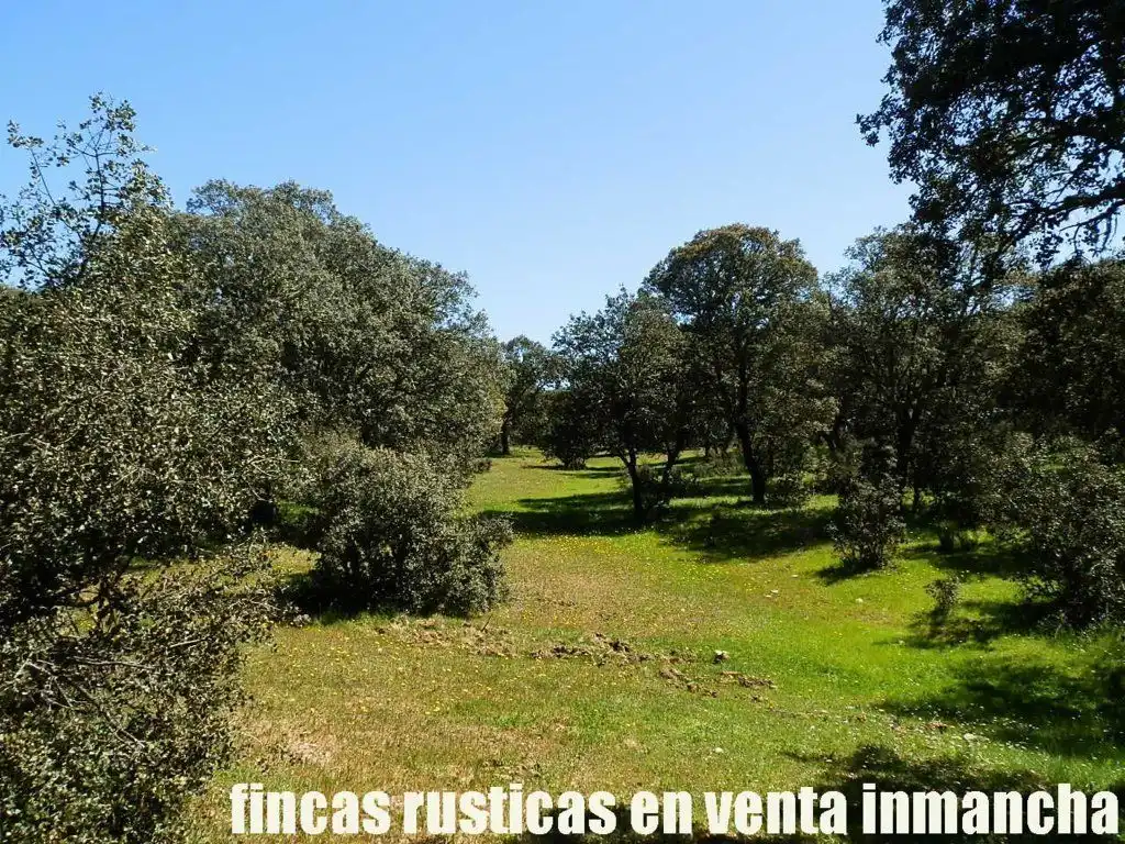 Terreno rustico in vendita a Ciudad Rodrigo, imagen 15