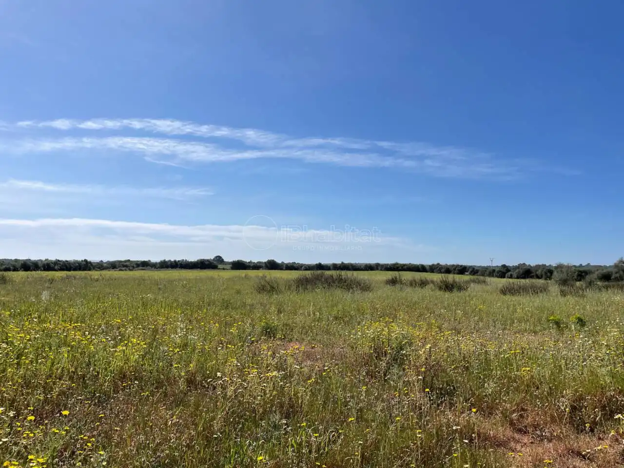 Terreny residencial en venda a Ses Palmeres, imagen 3