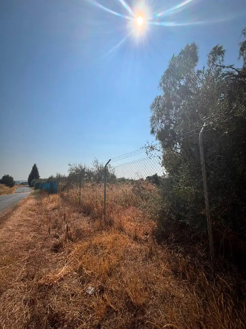 Finca rústica en venda en Huévar del Aljarafe amb Jardí privat, Traster i Piscina