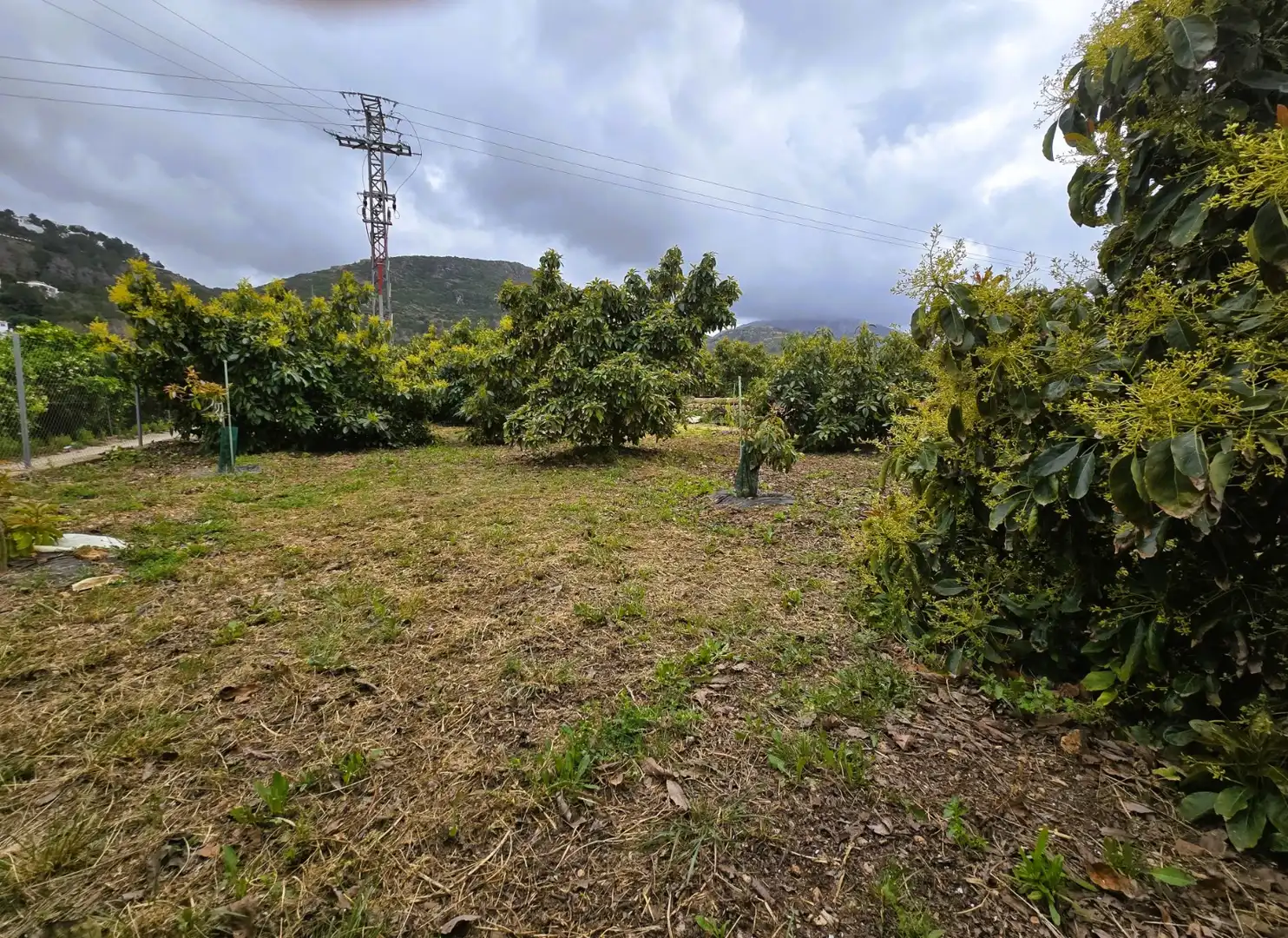 Residencial en venda en Pego