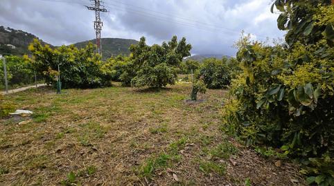 Photo 3 of Residential for sale in Pego, Alicante