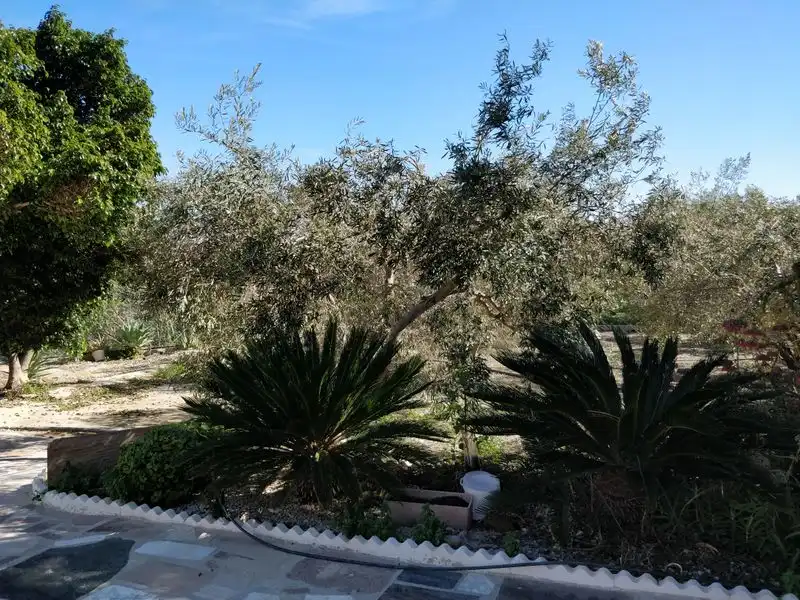 Garten von Haus oder Chalet zum Verkauf in Murcia mit Klimaanlage, Heizung und Privatgarten