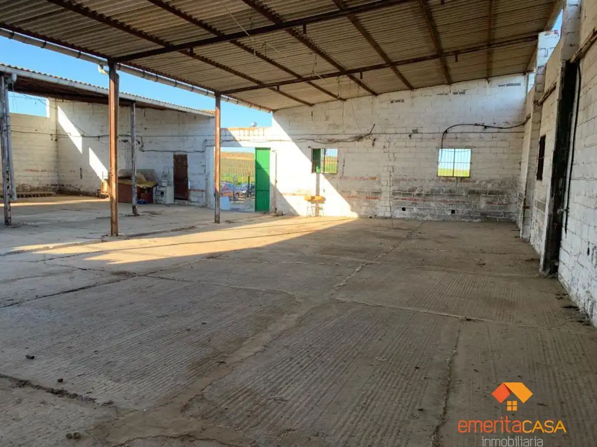 Nave industrial in affitto a Oeste, imagen 9