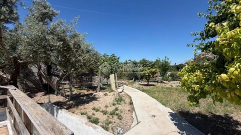 Foto 4 de Finca rústica en venda a San Bartolomé - Millán de Priego, Jaén Capital