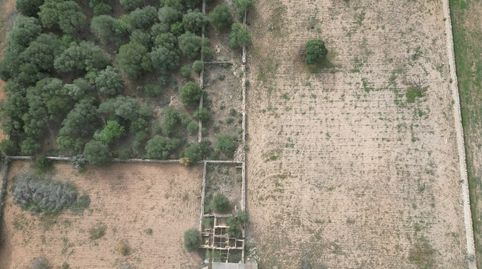 Parcela rural con permiso de construcción y planos de obra en Llucmajor, al sur de Mallorca, immagine 5
