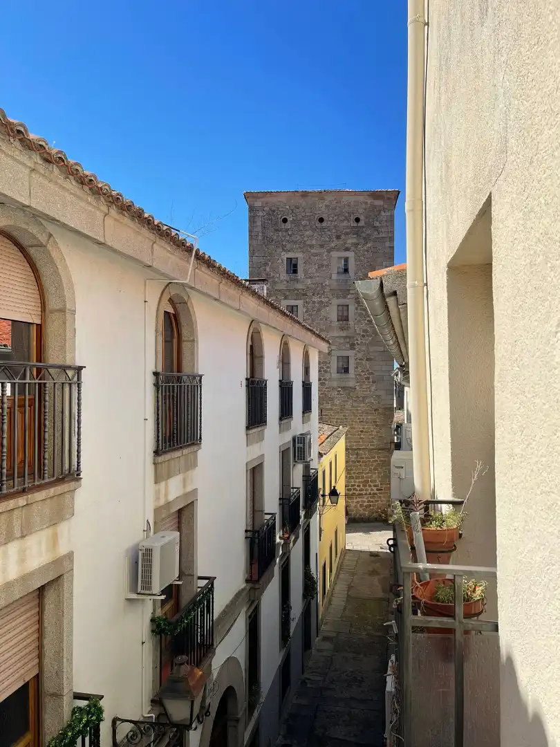Exterior view of Buildings for sale in Plasencia
