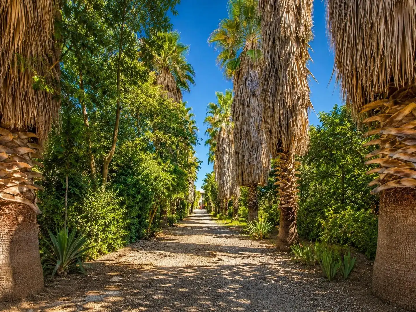 Casa rustica con piscina in vendita a Carretera a Palma del Río, imagen 7