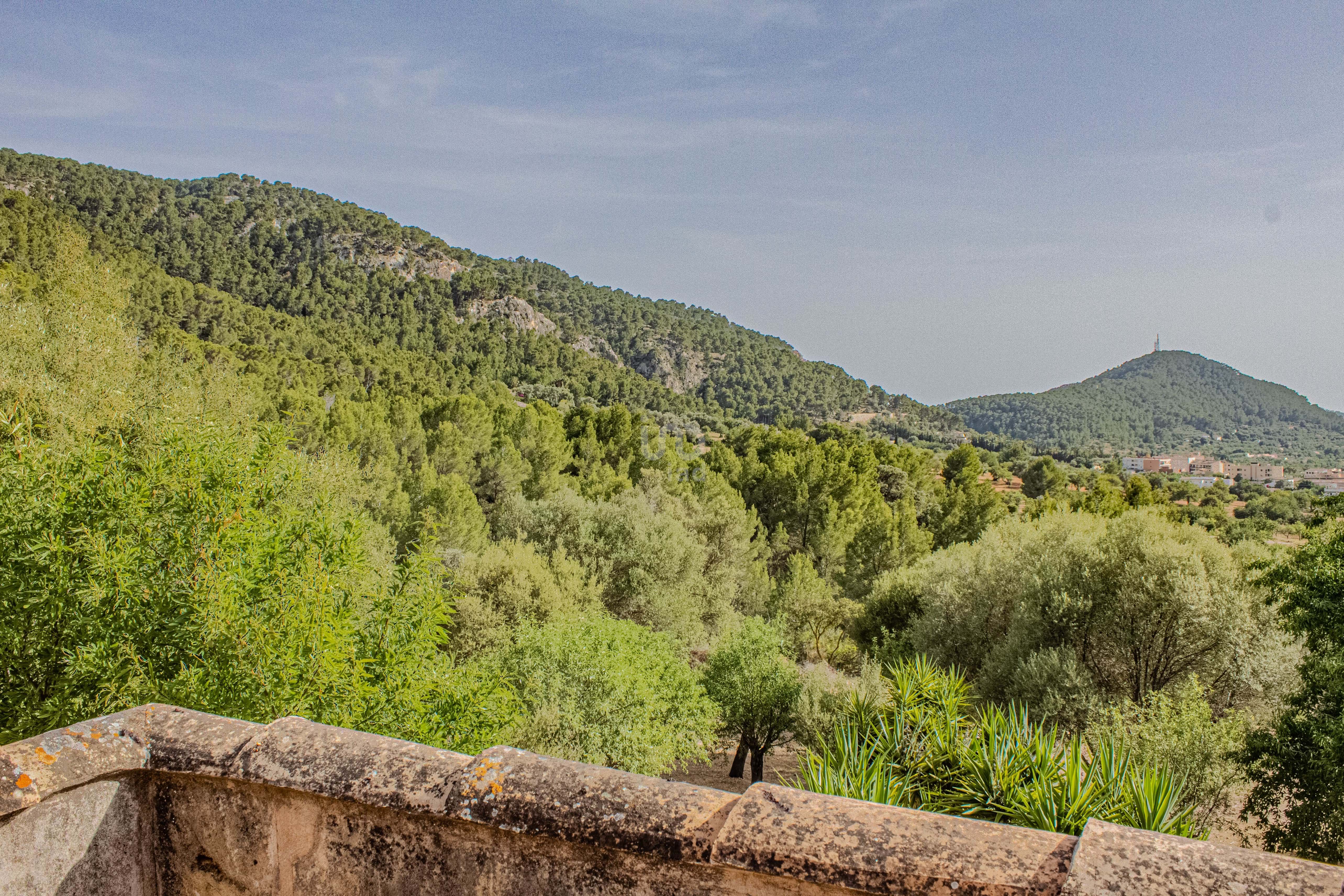 Jardí de Casa o xalet en venda en Andratx amb Calefacció i Terrassa