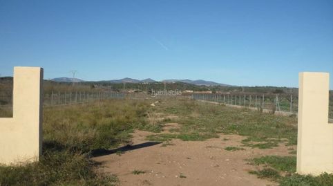 Terreno rustico en villafames, immagine 4