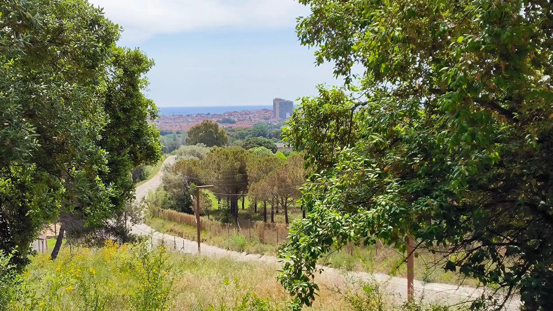 Wohnbaugrundstück zum Verkauf in Puig de sa Roca 78, imagen 2