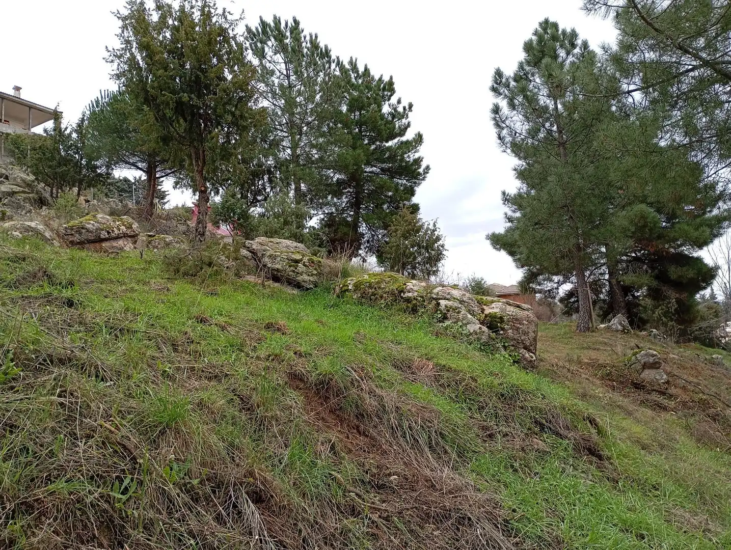 Terreni e lotti in vendita a Robledo de Chavela, imagen 2