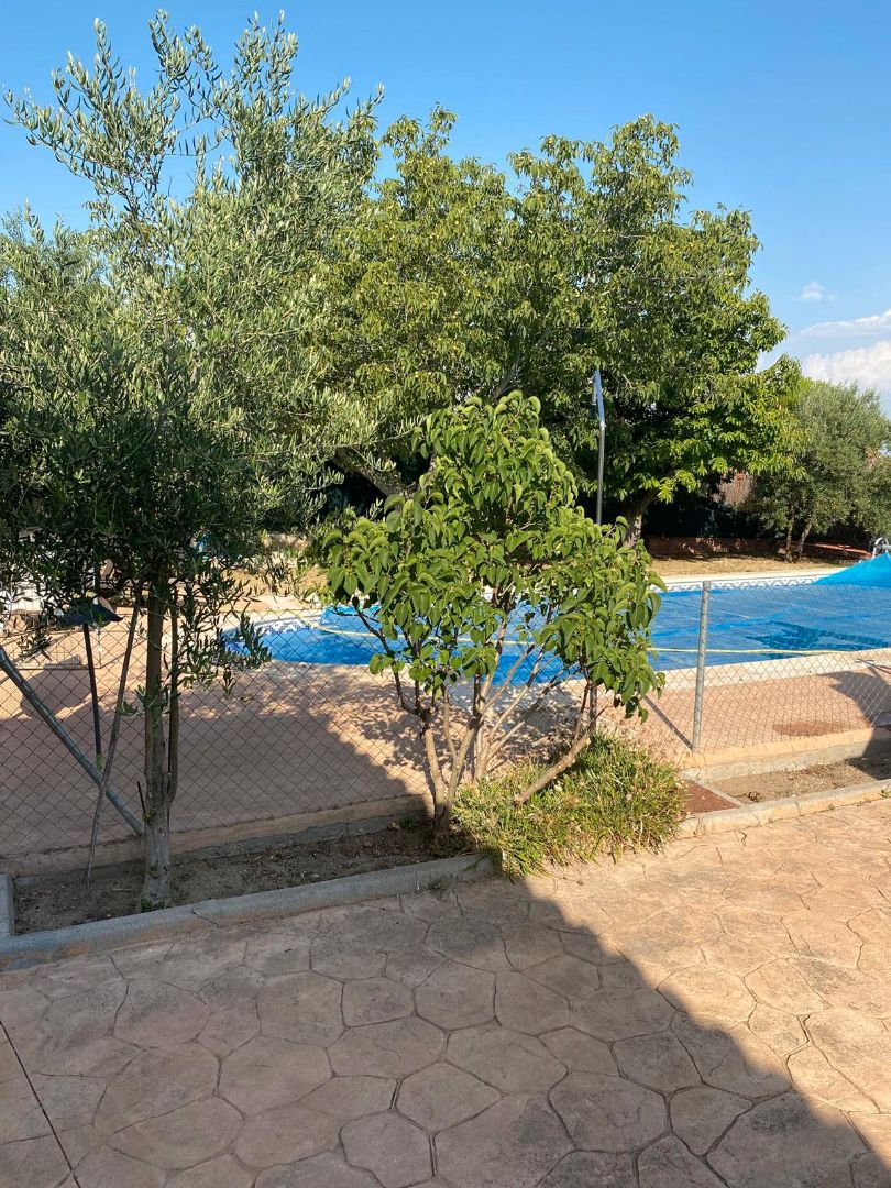 Piscina de Casa o chalet en venta en Huecas con Aire acondicionado y Piscina