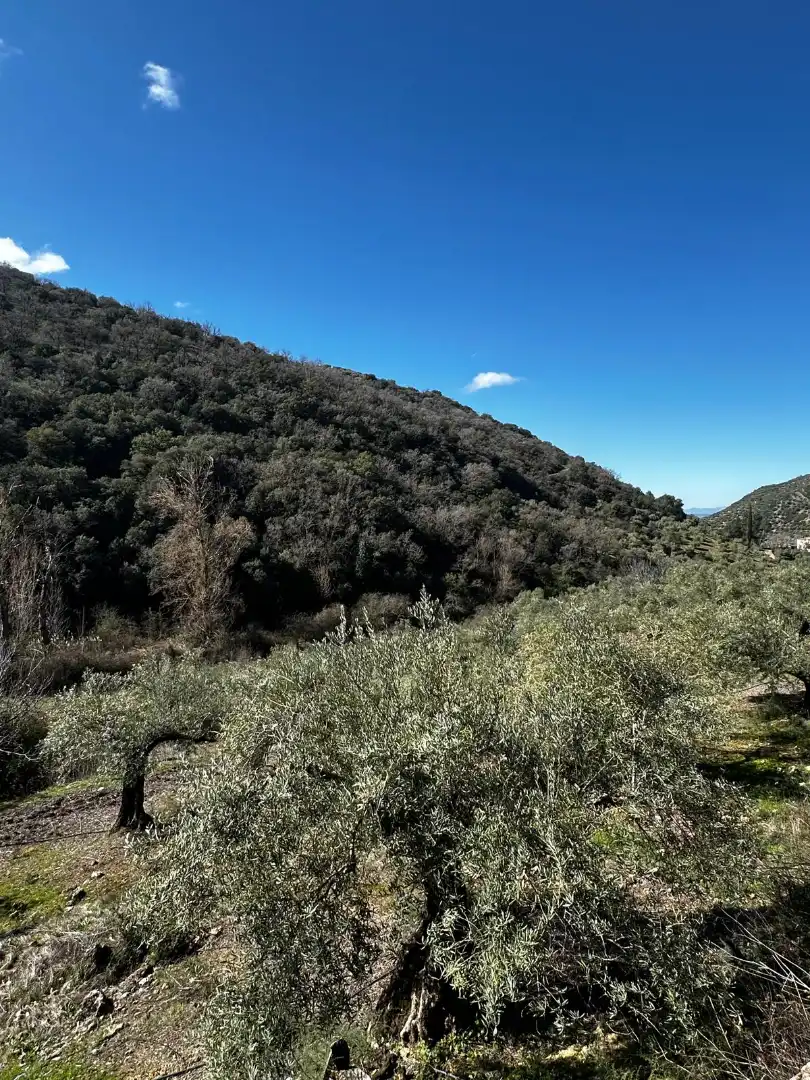Finca rústica en venda en Valdepeñas de Jaén