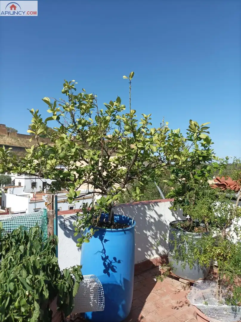 Terrassa de Casa o xalet en venda en Alcalá de Guadaira amb Aire condicionat, Calefacció i Terrassa