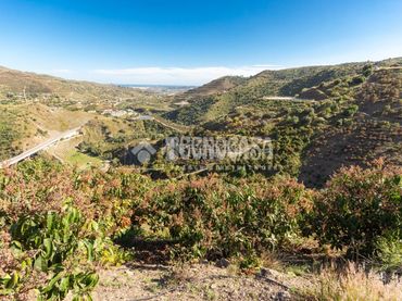 Terreny rústic en venda a Vélez-Málaga ciudad