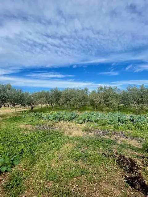 Finca rústica en venda en Sant Martí Sarroca amb Calefacció, Terrassa i Traster