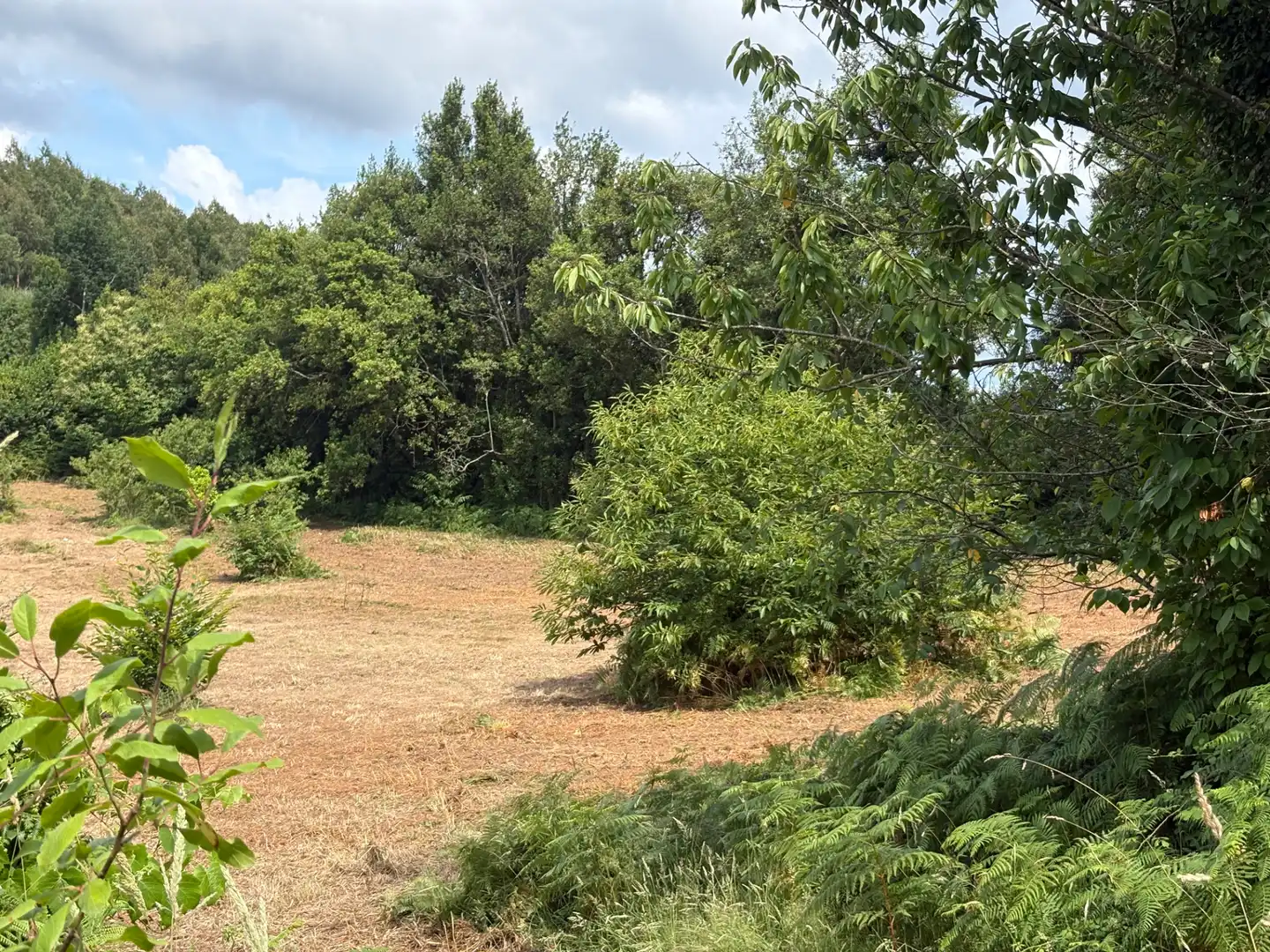 Casa o chalet en venta en San Sadurniño con Jardín privado, Trastero y Amueblado