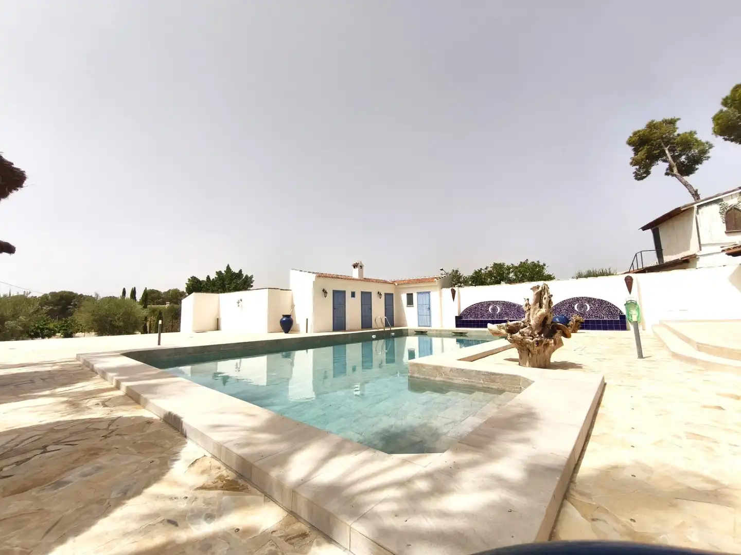 Piscina de Casa o chalet en venta en Molina de Segura