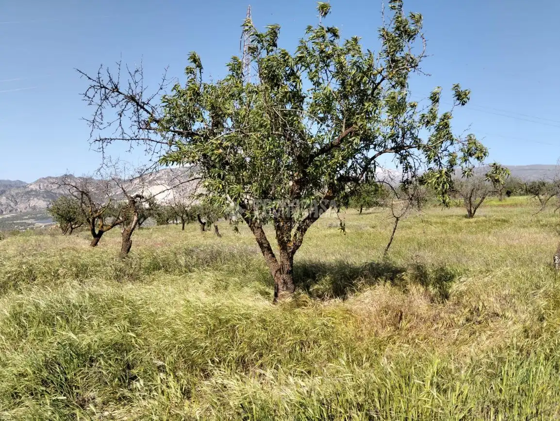 Rural land for sale in Dúrcal, imagen 27