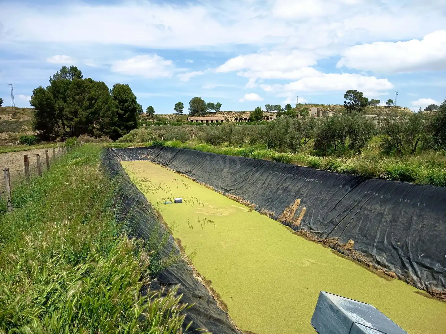 Jardín de Terreno en venta en Fonelas