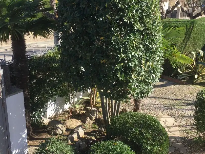 Jardín de Casa o chalet en venta en Olèrdola con Aire acondicionado, Terraza y Piscina