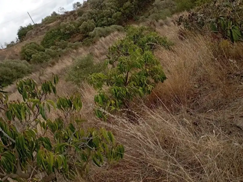 Terreno en venta en Estepona