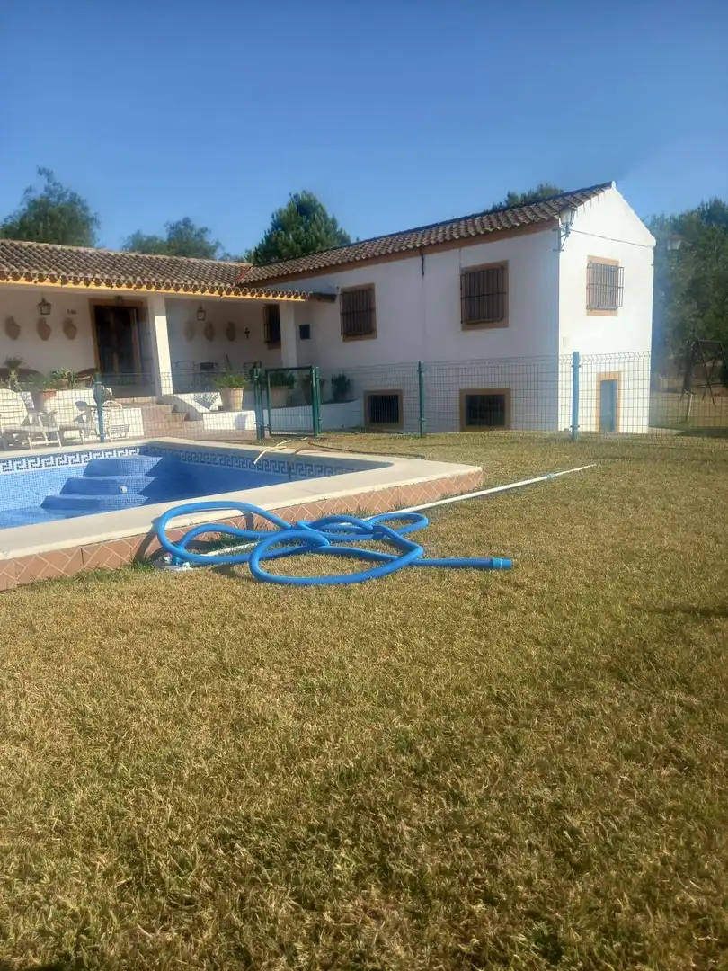 Piscina de Finca rústica en venda en Arcos de la Frontera amb Jardí privat i Piscina comunitària
